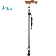 Auxiliary Equipment - Walking stick
