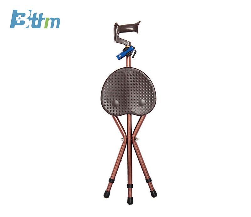 Walking stick and stool