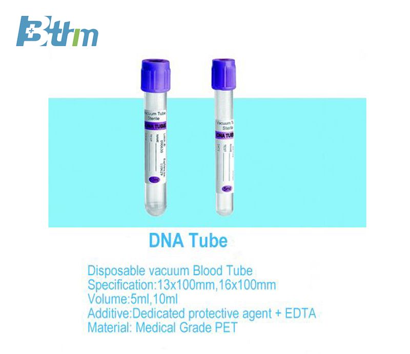 DNA Tube