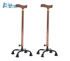 BT-D109 Walking Stick