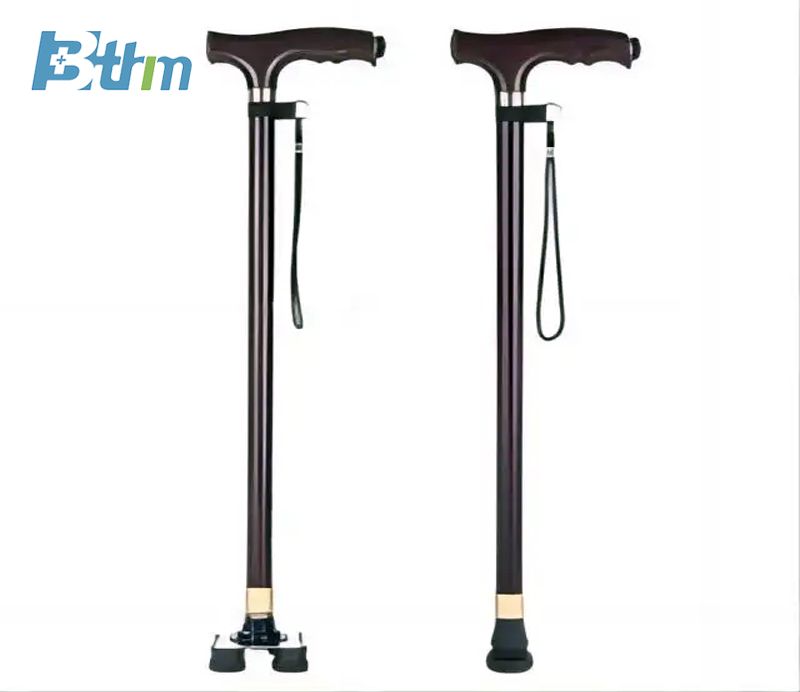 BT-D112 Walking Stick